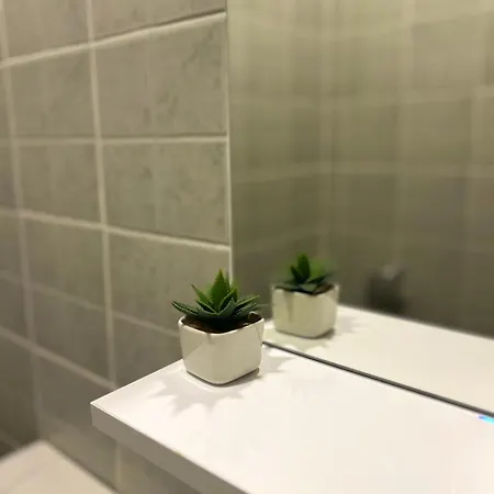 Apartment In Center - Great Location! Apartment